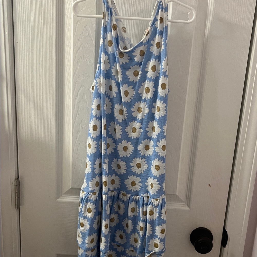 NWT Crewcuts Blue Floral Sleeveless Dress